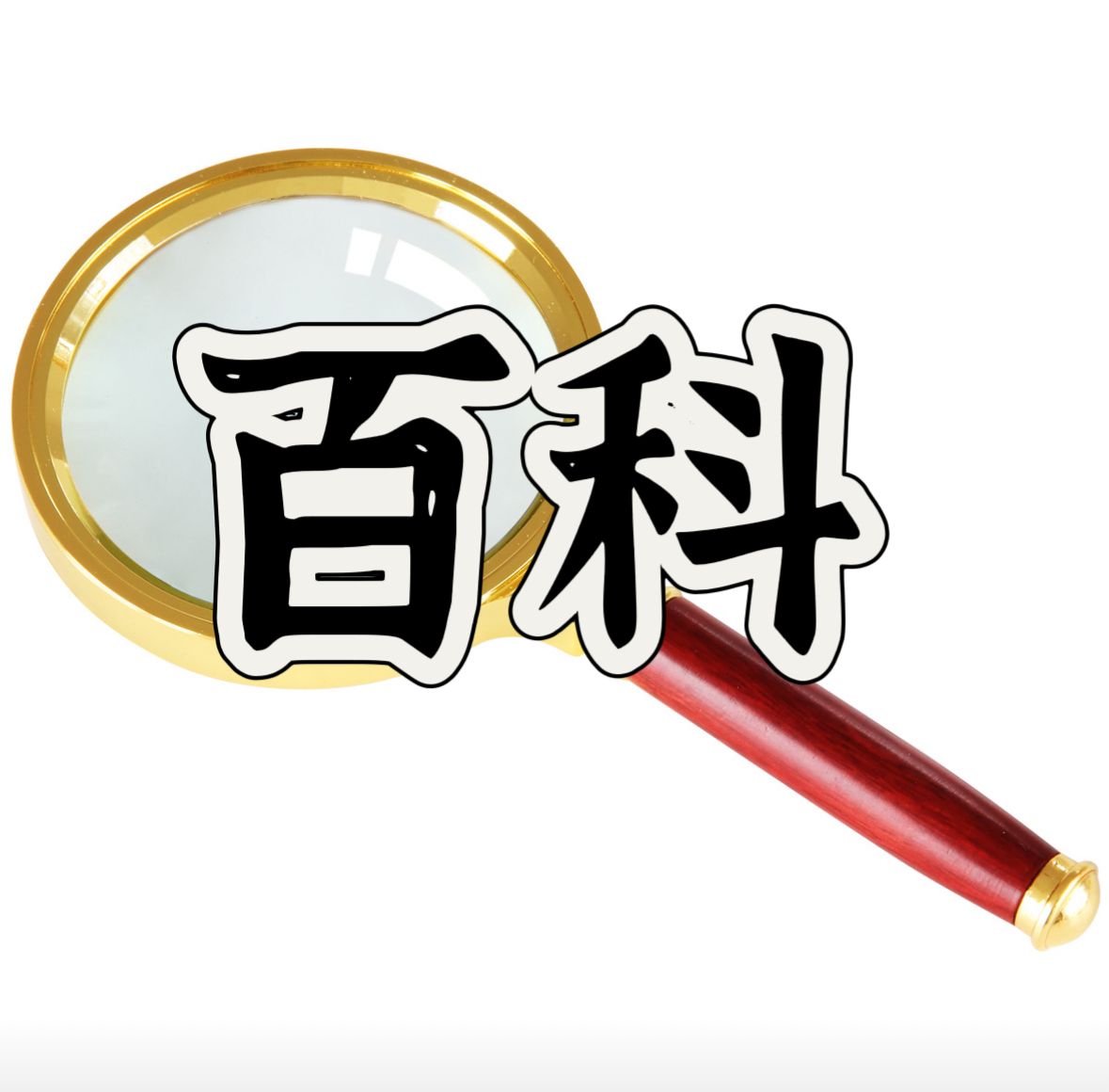 百科