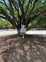 阳光和蔷薇美颂