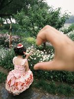 草莓空想曲