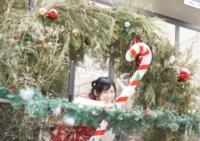 预制我的圣诞照