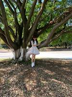 阳光和蔷薇美颂