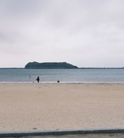去海边