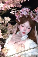 樱花和baby小羽毛