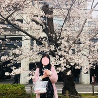 和lolita走过的十年