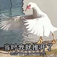 【周话题第二十六期(^з^)-☆】lo娘生活好物谈谈谈