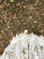 穿上十多年前的lo裙