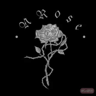夜蔷薇NRose