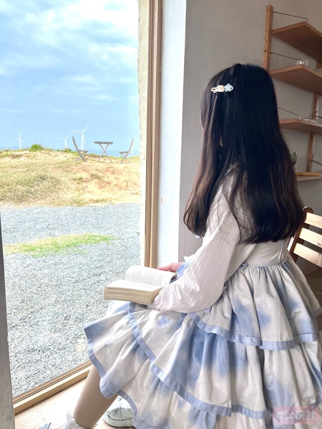 今天是虎斑猫三段～