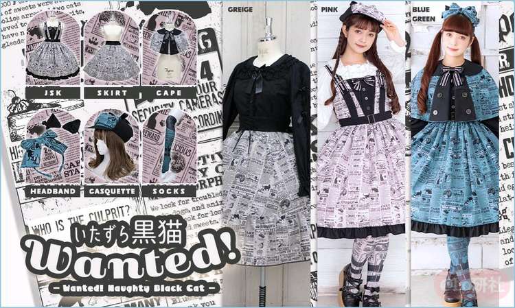 Wanted! 顽皮黑猫