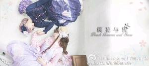 桃花与雪