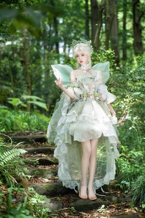 蝶恋花梦