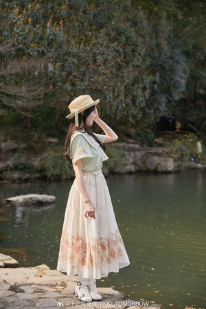 仲夏向日葵/季夏向日葵