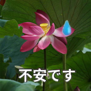 水果芭菲fruits parlour