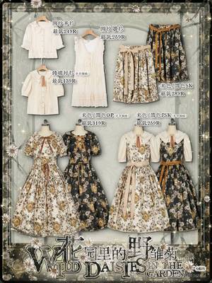 花园里的野雏菊