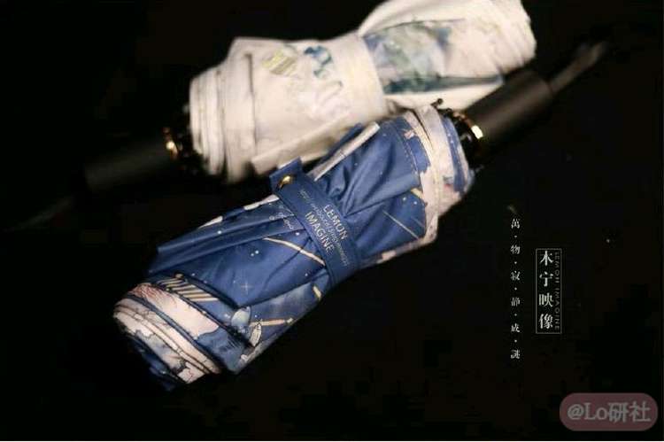 万物寂静成谜 伞