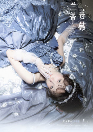 兰蒂蔷薇