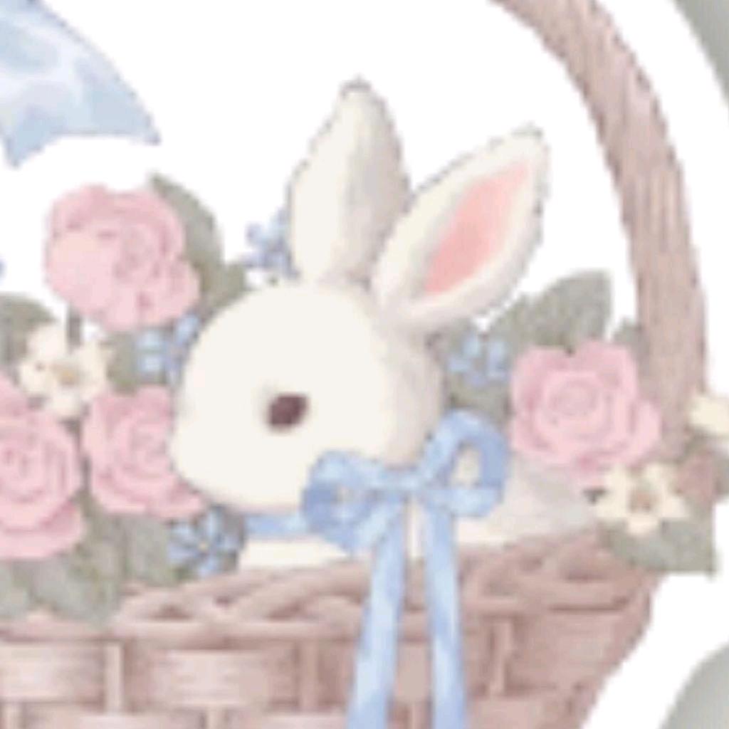 Daily Cherry服饰旗舰店